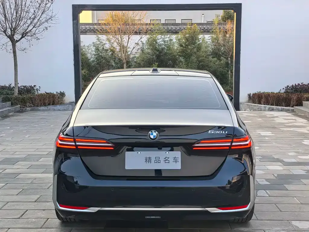 BMW 5 Series 2025 из CN, фото 5