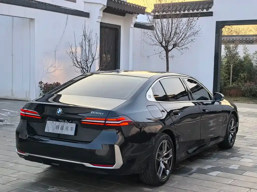BMW 5 Series 2025 из CN, фото 9