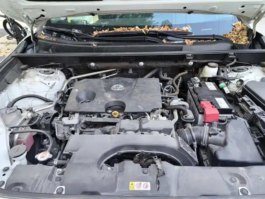 Toyota RAV4 2021 из CN, фото 10