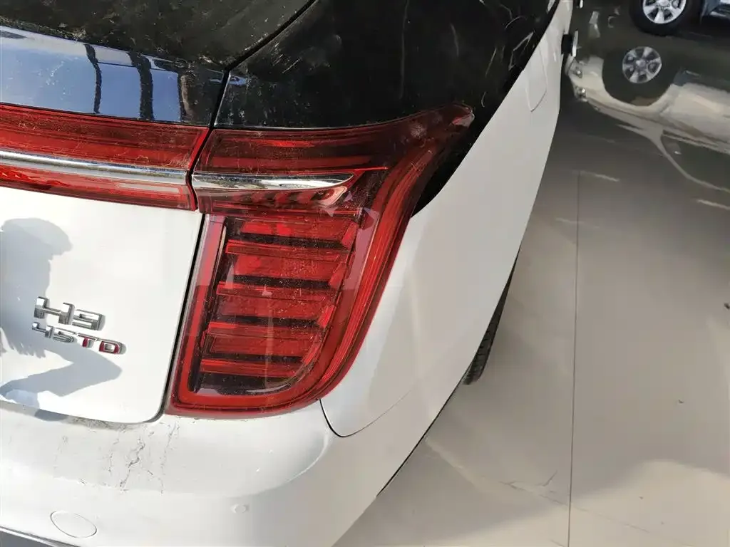 Hongqi H9 2021 из CN, фото 3