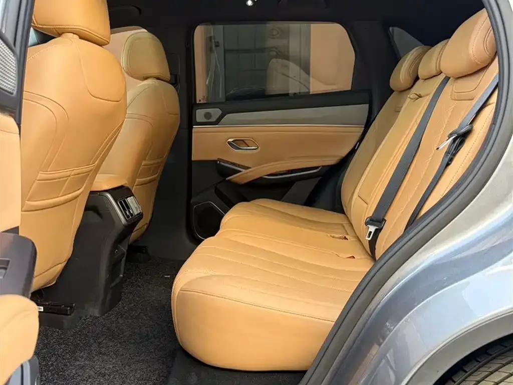 BYD L DM-i 2024 из CN, фото 4