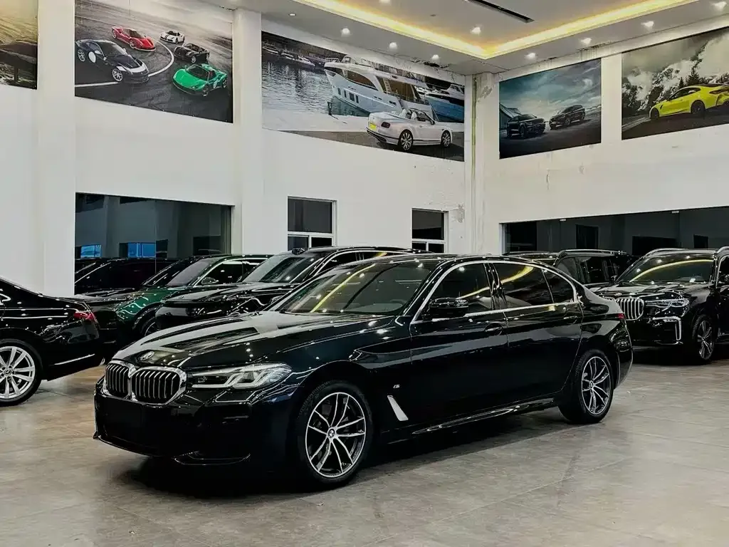 BMW 5 Series 2023 из CN, фото 1