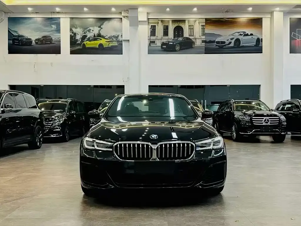 BMW 5 Series 2023 из CN, фото 5