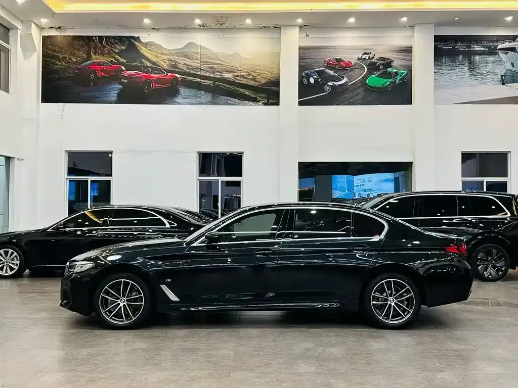 BMW 5 Series 2023 из CN, фото 9