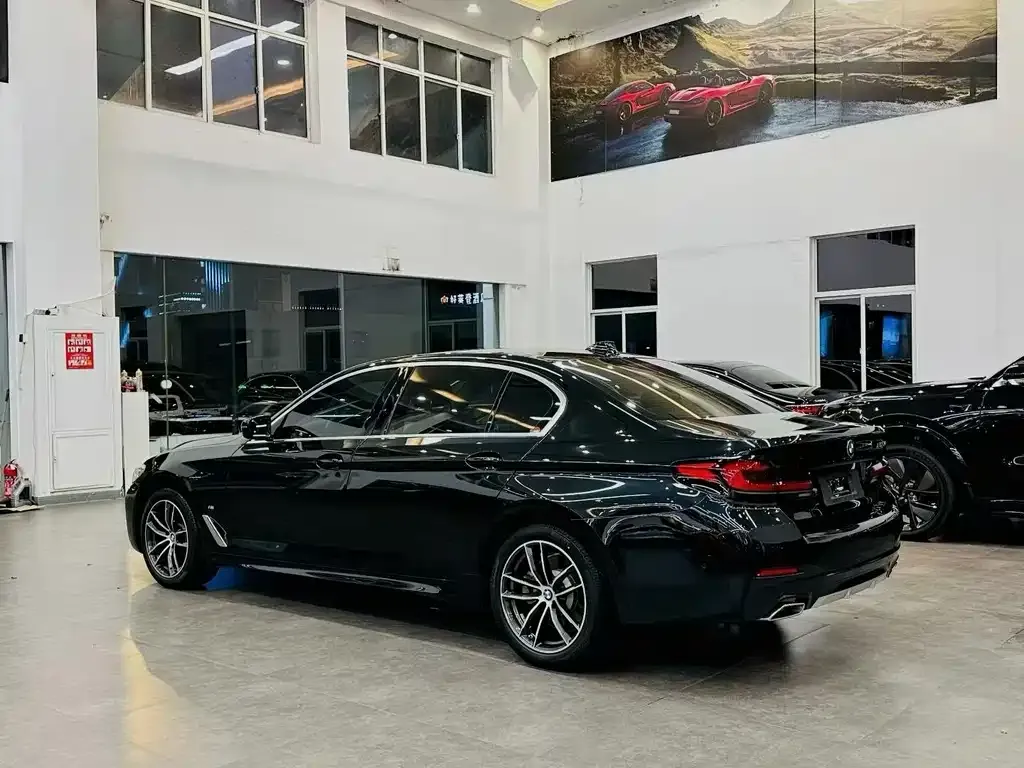 BMW 5 Series 2023 из CN, фото 8