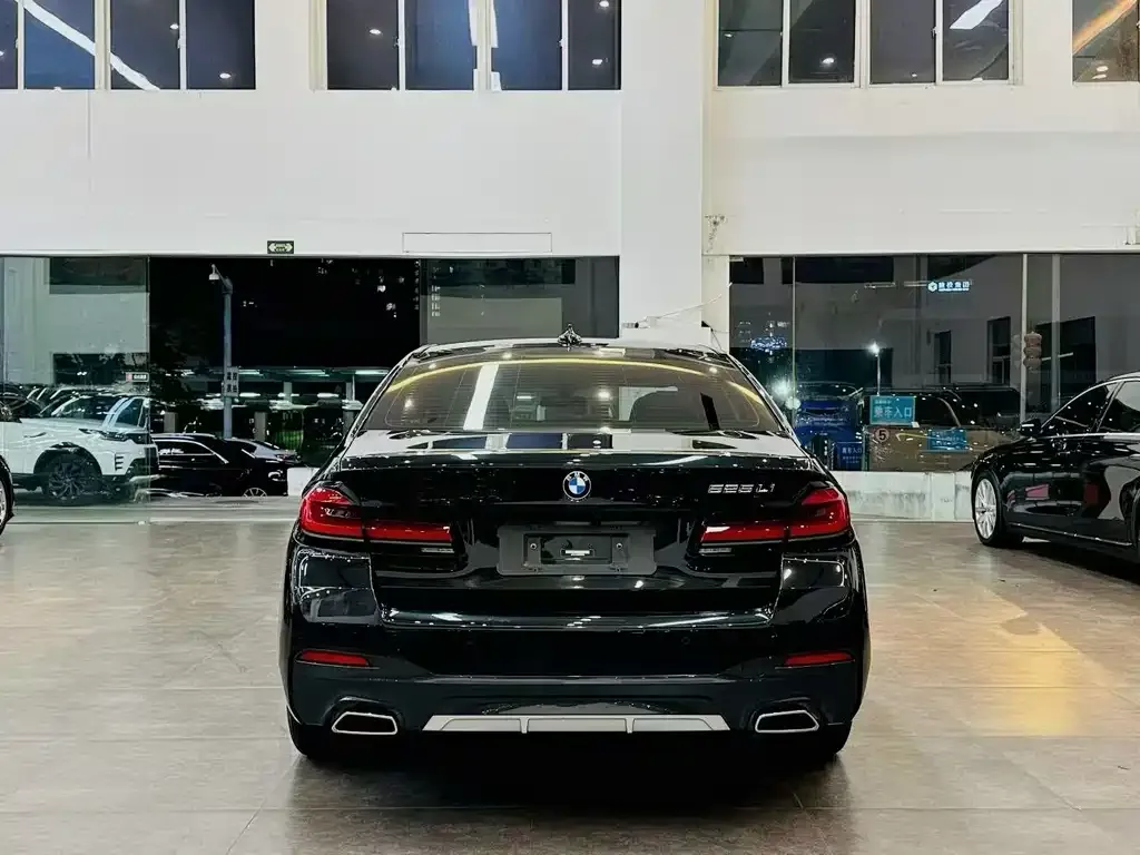 BMW 5 Series 2023 из CN, фото 6