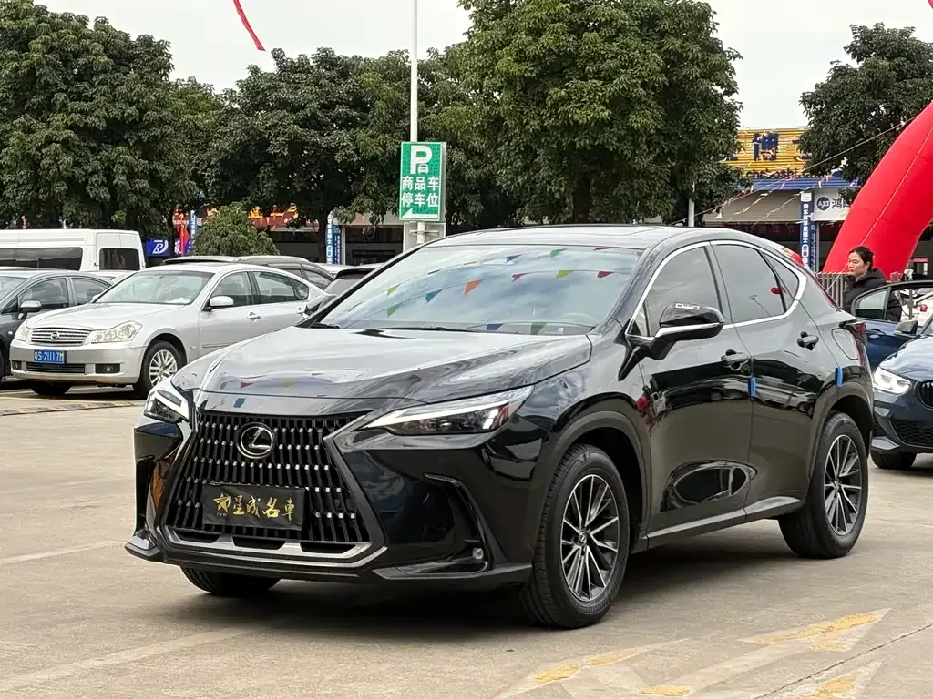 Lexus NX 2023 из CN, фото 1