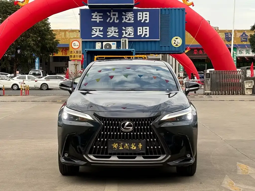 Lexus NX 2023 из CN, фото 2