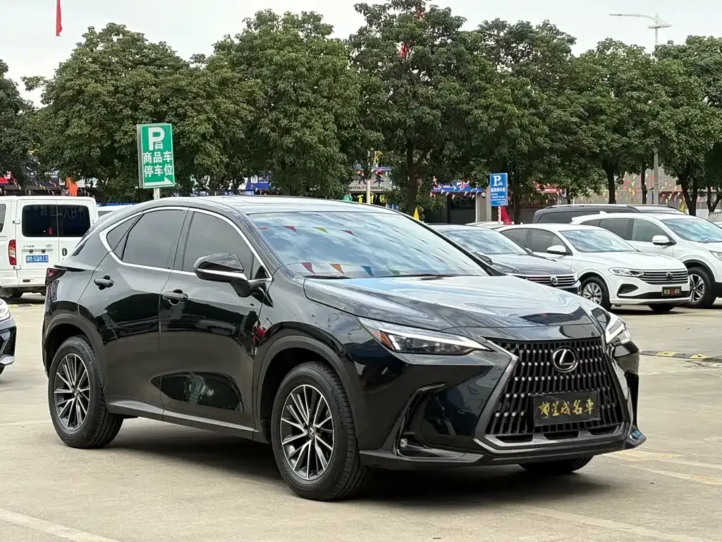 Lexus NX 2023 из CN, фото 7