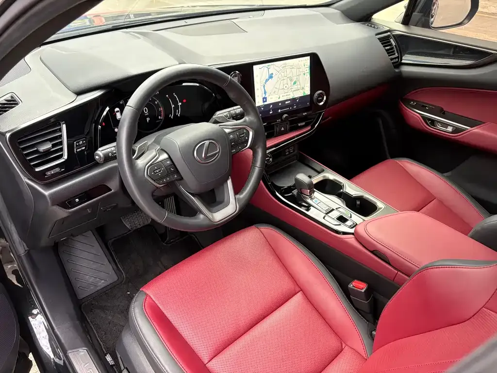 Lexus NX 2023 из CN, фото 4
