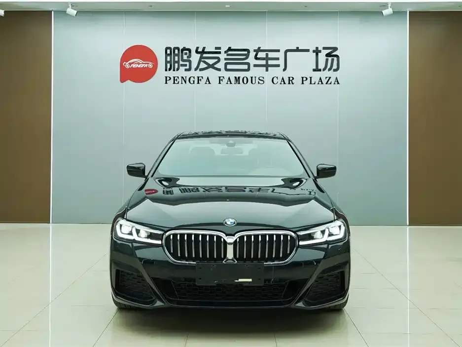BMW 5 Series 2023 из CN, фото 10