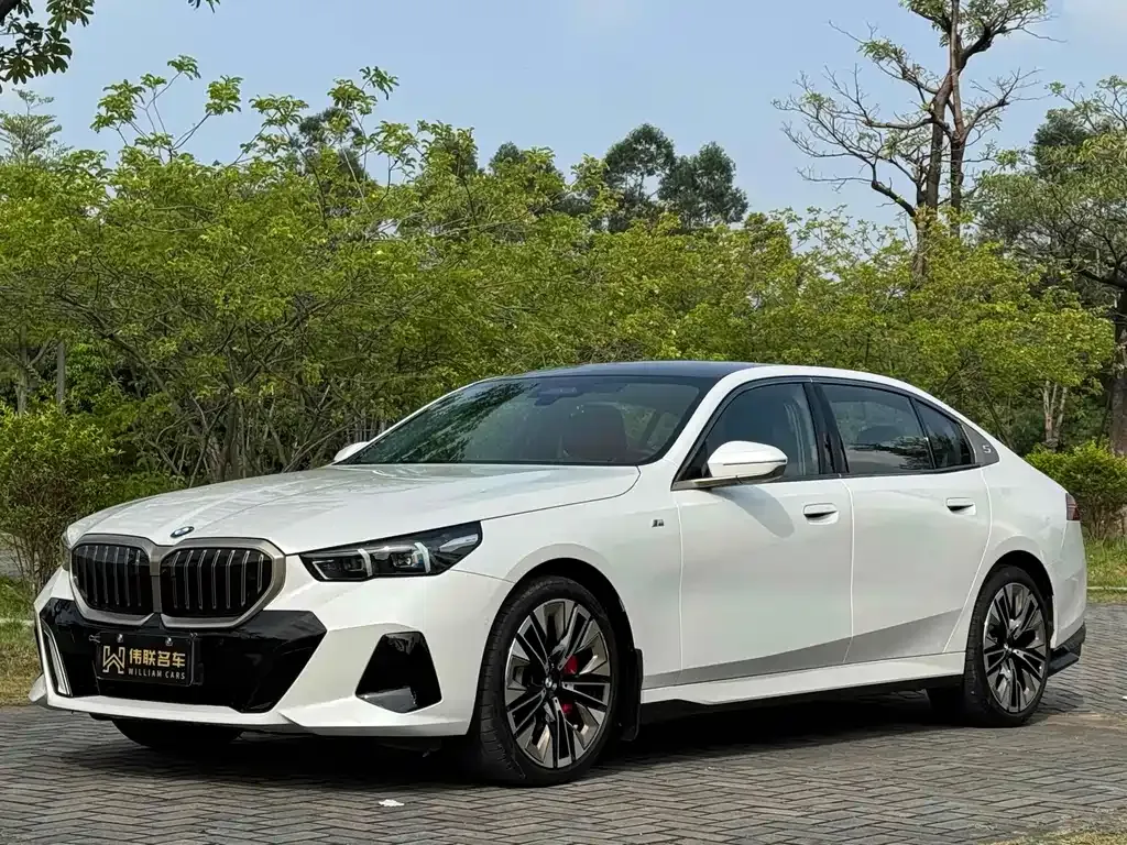BMW 5 Series 2024 из CN, фото 1