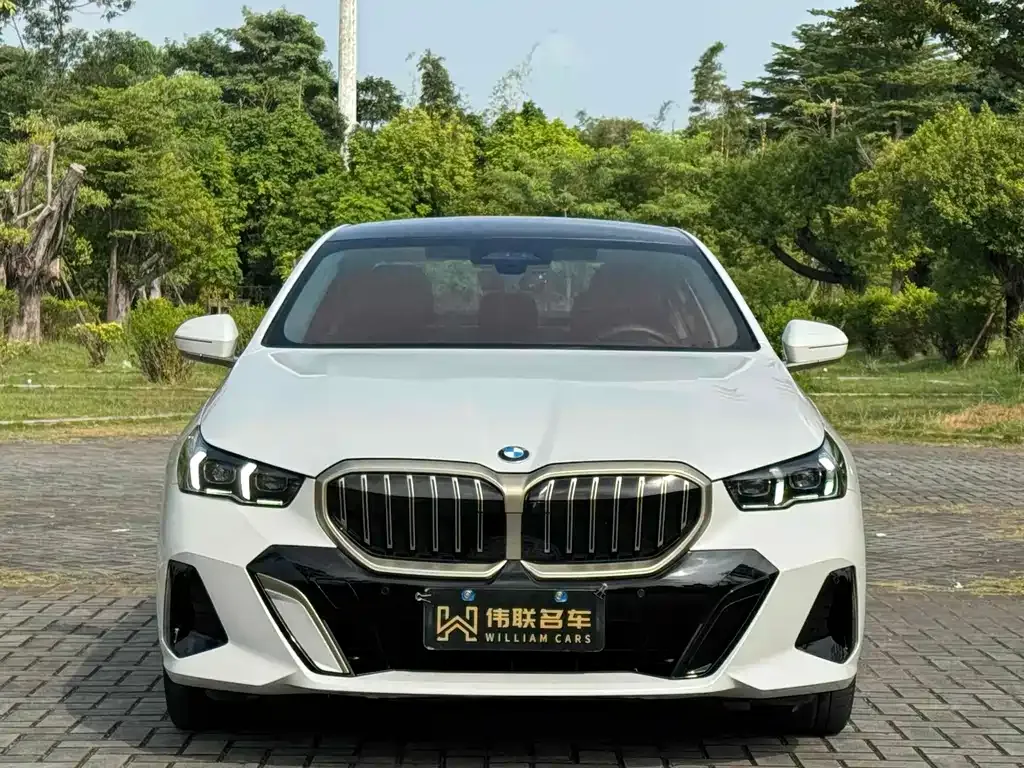 BMW 5 Series 2024 из CN, фото 8