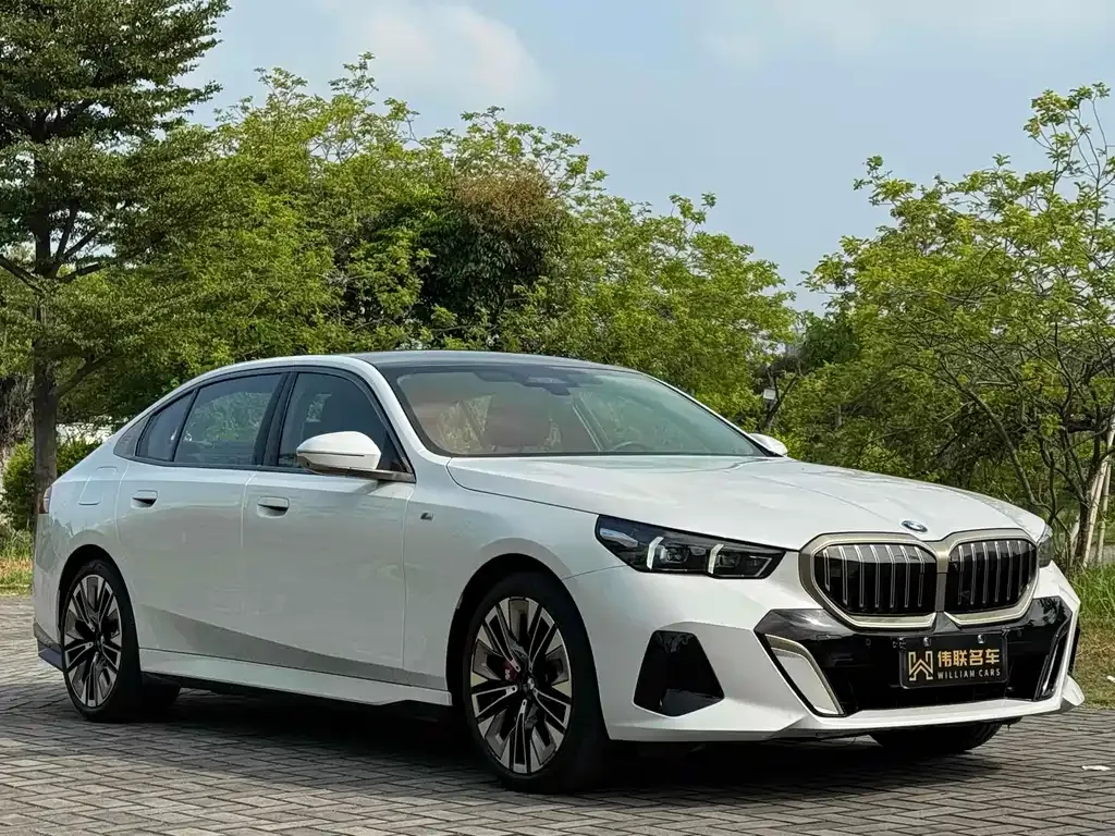 BMW 5 Series 2024 из CN, фото 10