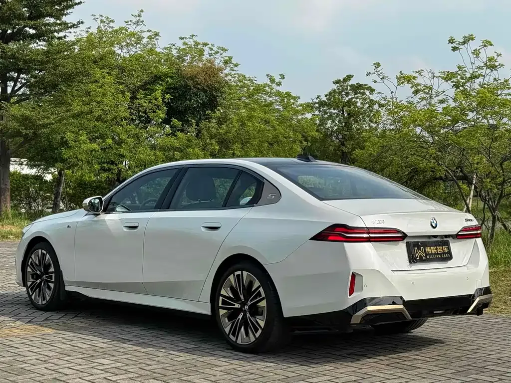 BMW 5 Series 2024 из CN, фото 9