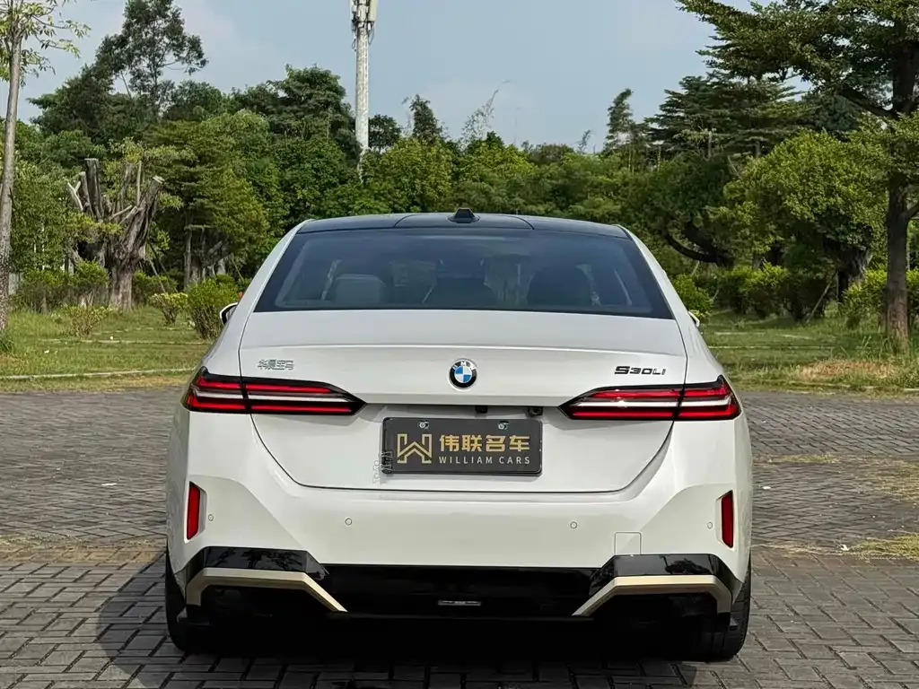 BMW 5 Series 2024 из CN, фото 2