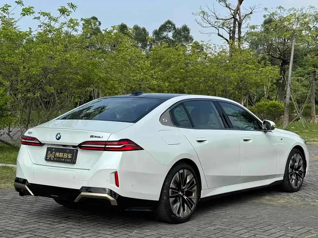 BMW 5 Series 2024 из CN, фото 6