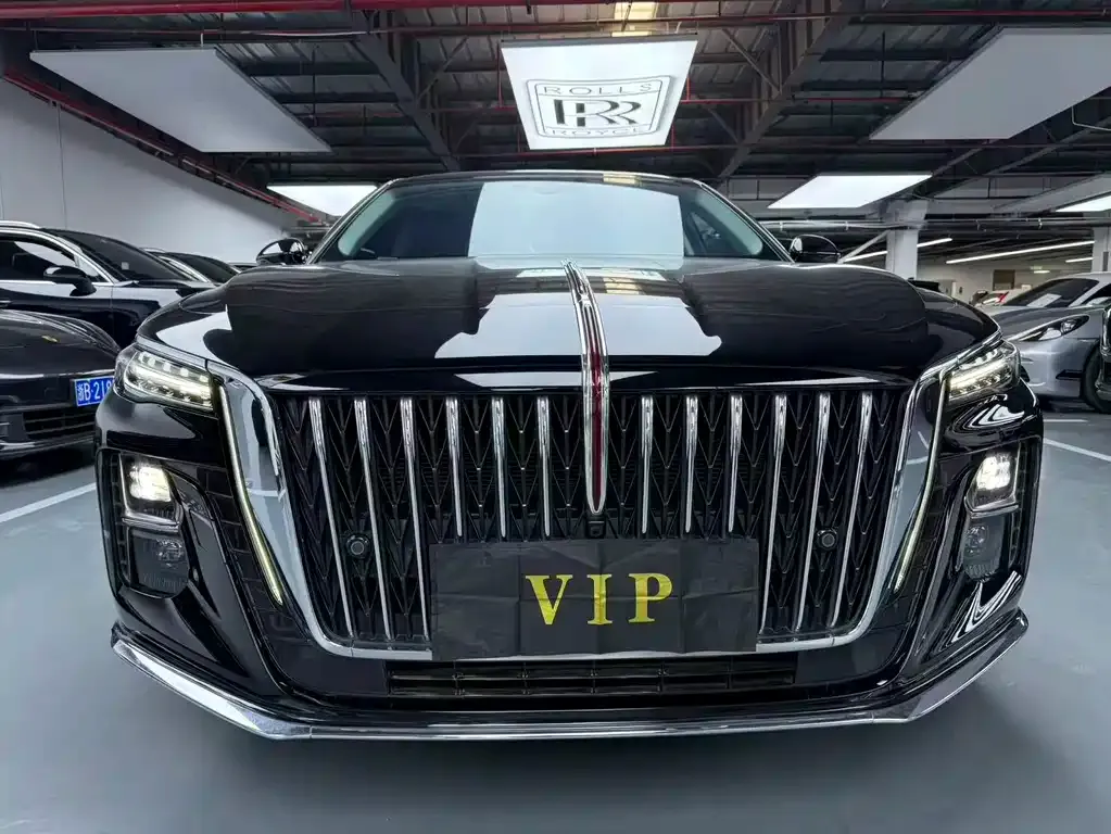 Hongqi H5 2024 из CN, фото 5