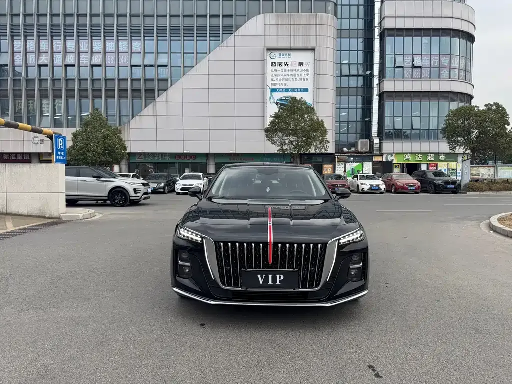 Hongqi H5 2024 из CN, фото 2