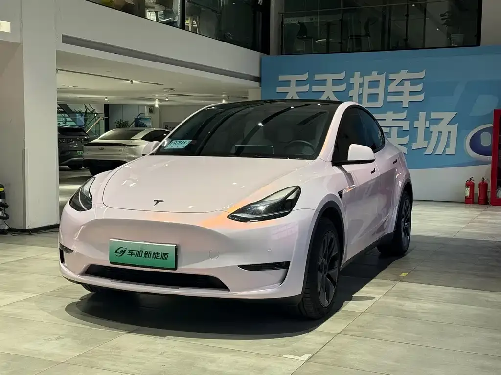 Tesla Model Y — фото 1