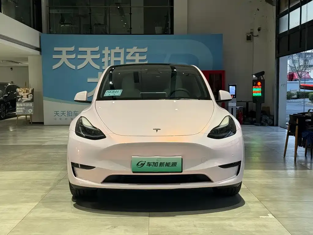 Tesla Model Y — фото 2