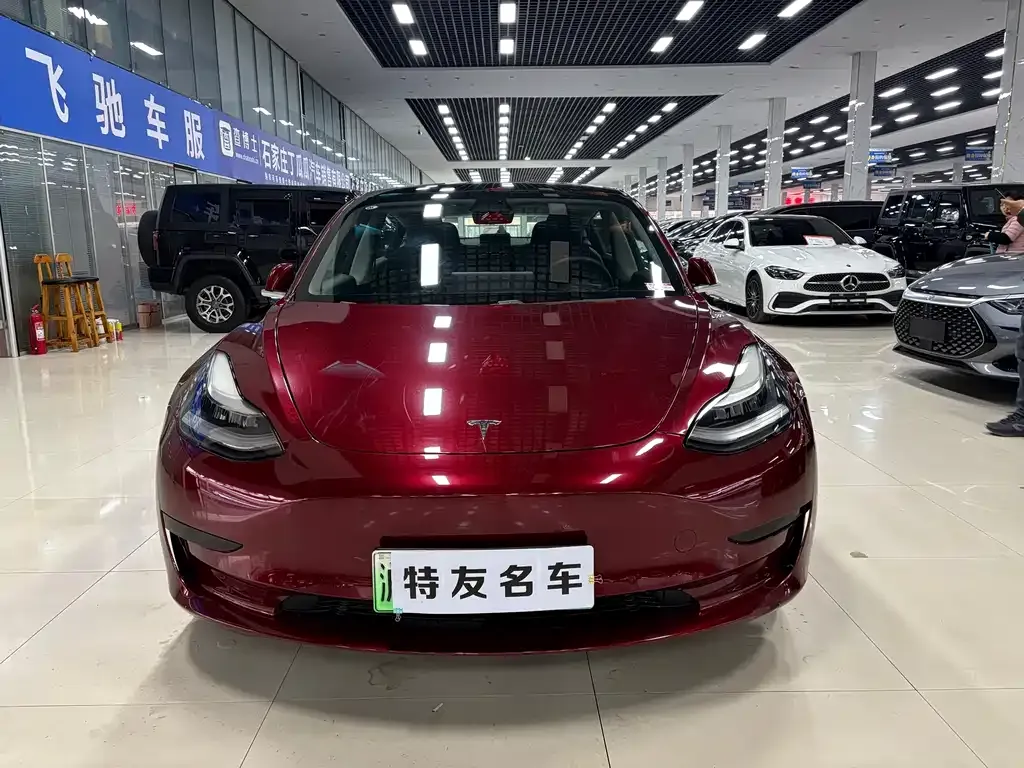 Tesla Model 3 2021 из CN, фото 2