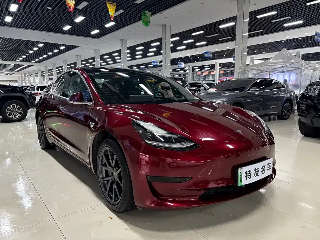 Tesla Model 3 2021 из CN, фото 3
