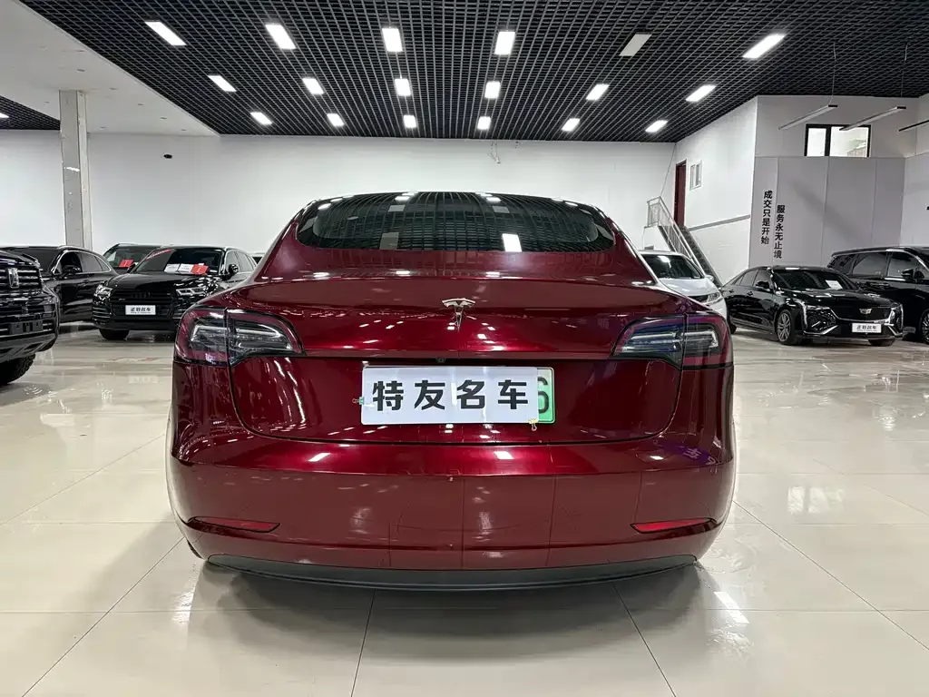 Tesla Model 3 2021 из CN, фото 5