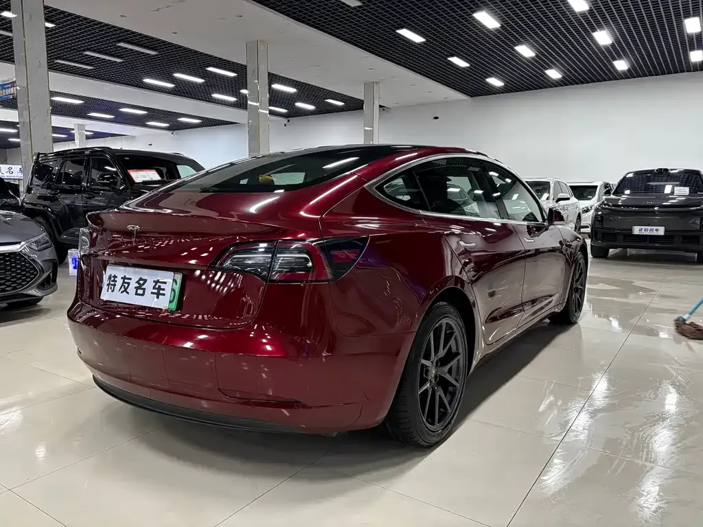 Tesla Model 3 2021 из CN, фото 6