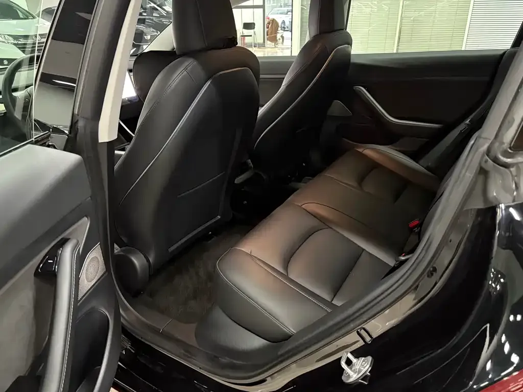 Tesla Model 3 2021 из CN, фото 8