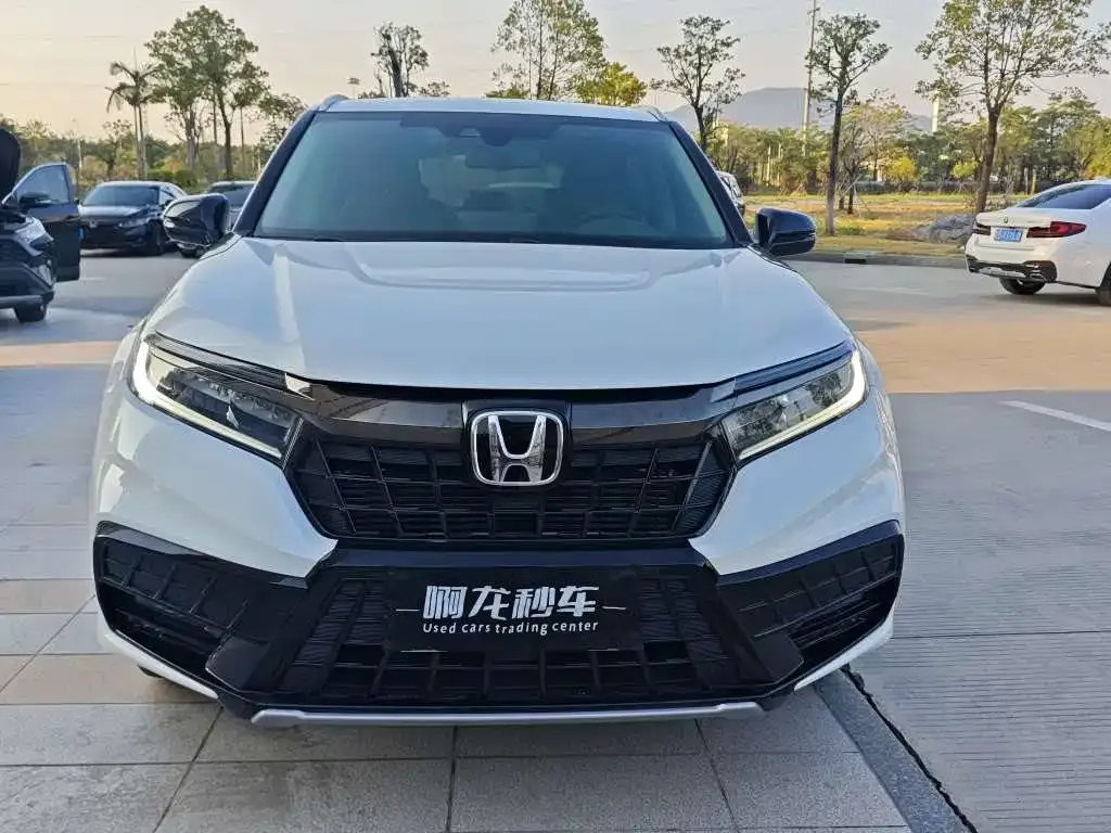Honda Avancier 2024 из CN, фото 4