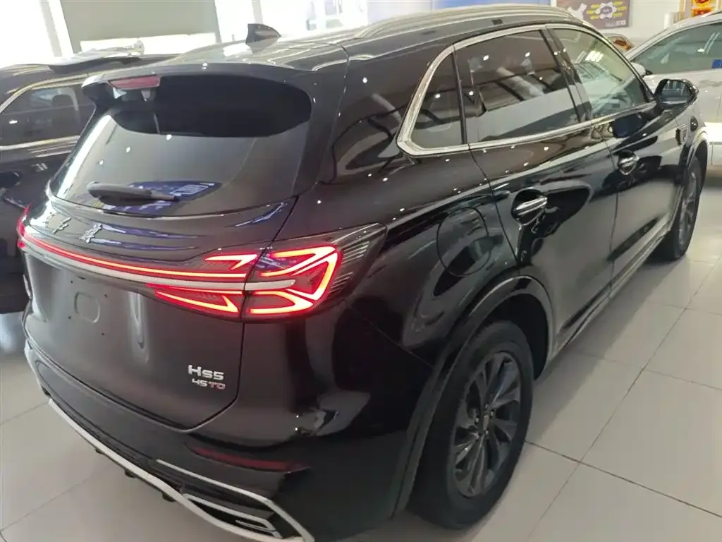Hongqi HS5 2024 из CN, фото 7