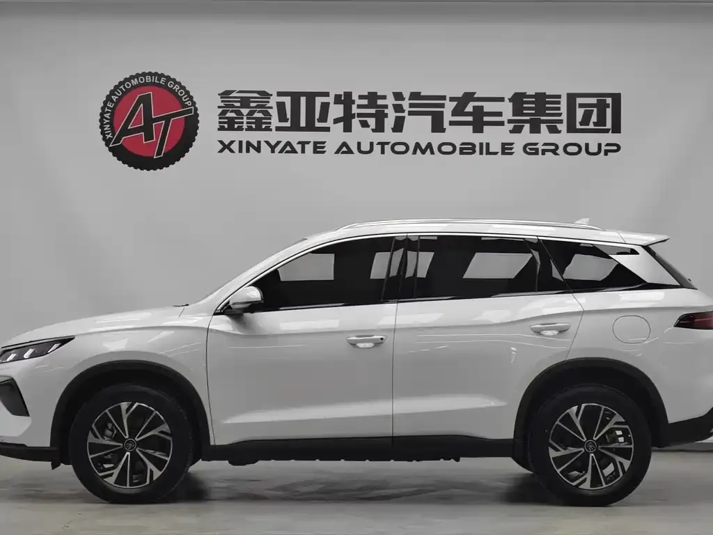 BYD Pro New Energy 2025 из CN, фото 2
