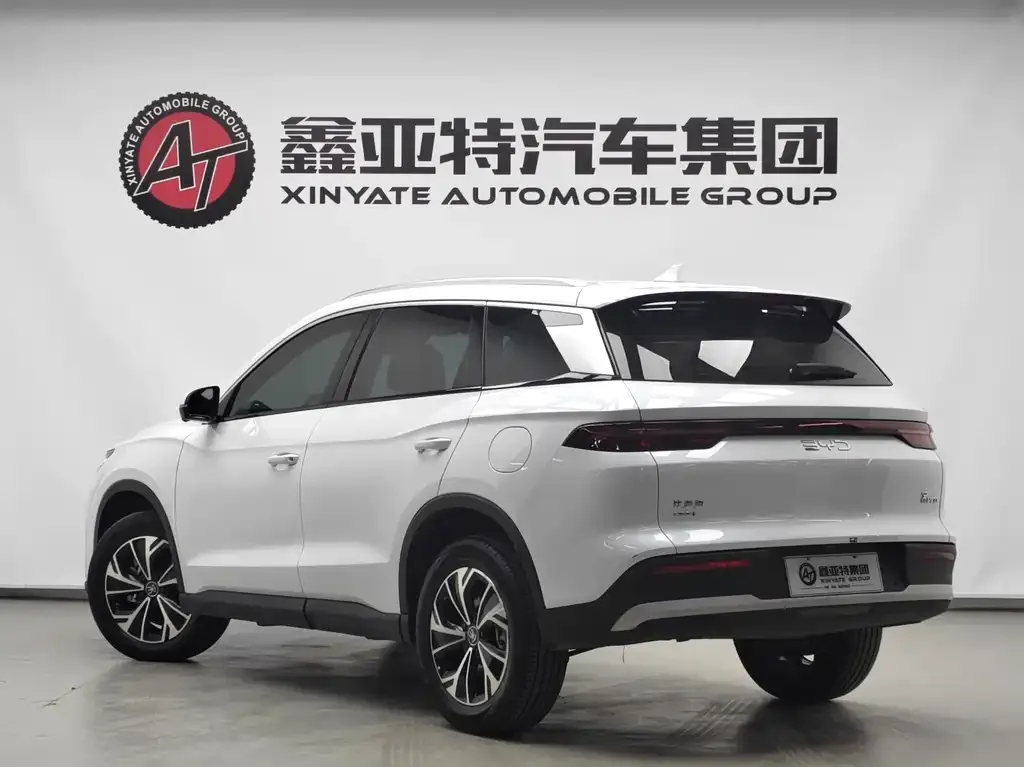BYD Pro New Energy 2025 из CN, фото 5