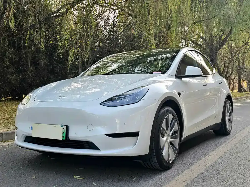 Tesla Model Y 2022 из CN, фото 1