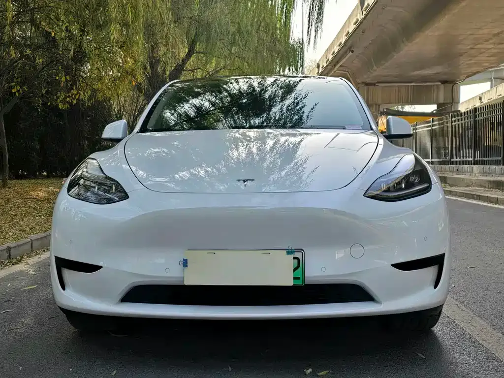 Tesla Model Y 2022 из CN, фото 2