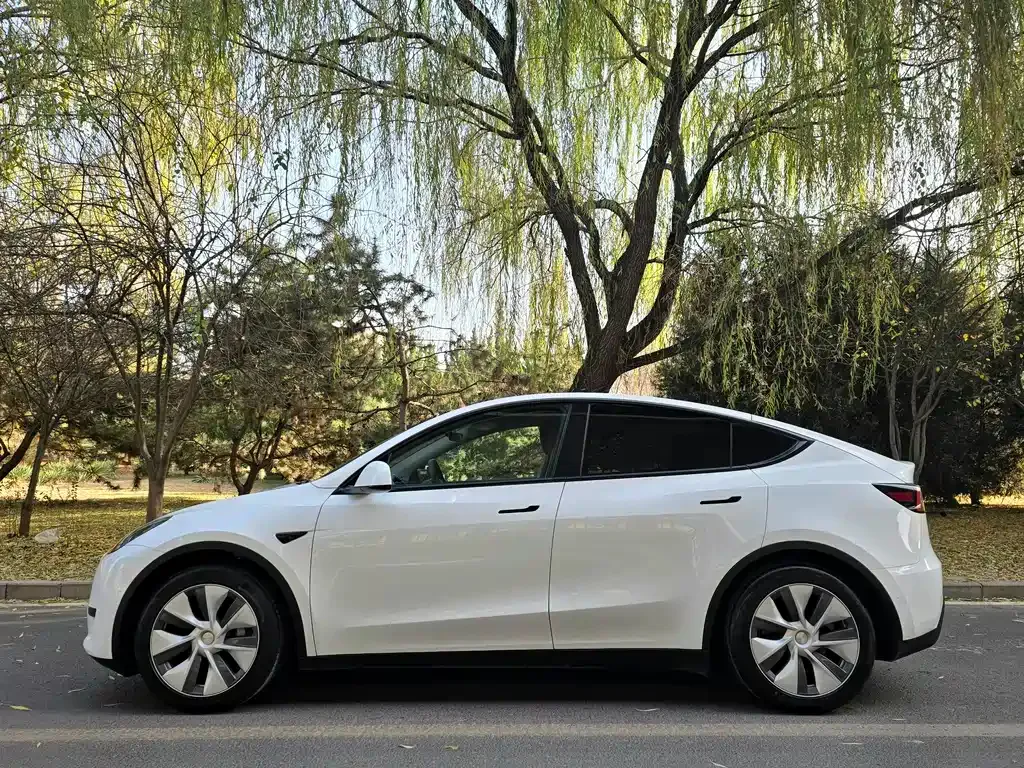 Tesla Model Y 2022 из CN, фото 3