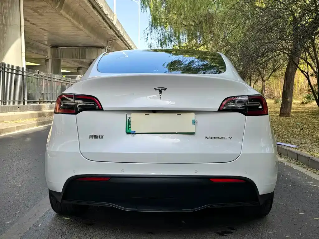 Tesla Model Y 2022 из CN, фото 4