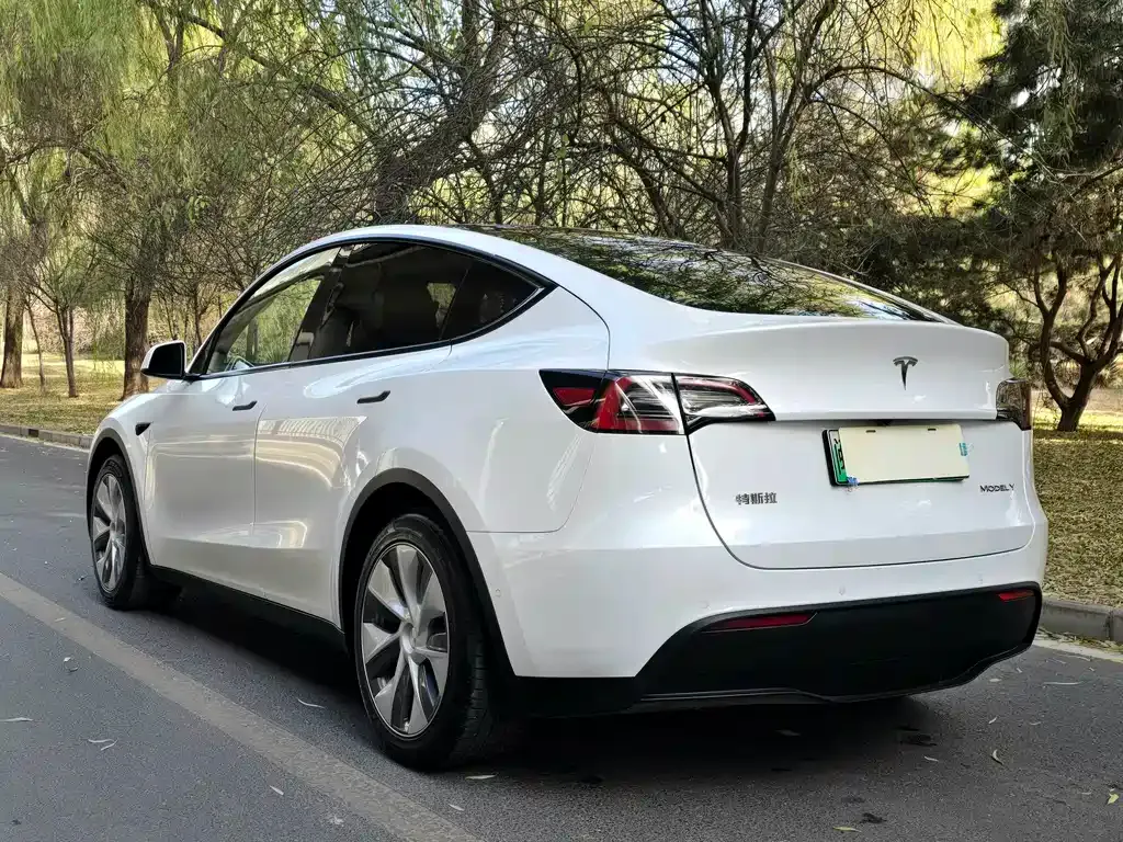 Tesla Model Y 2022 из CN, фото 5