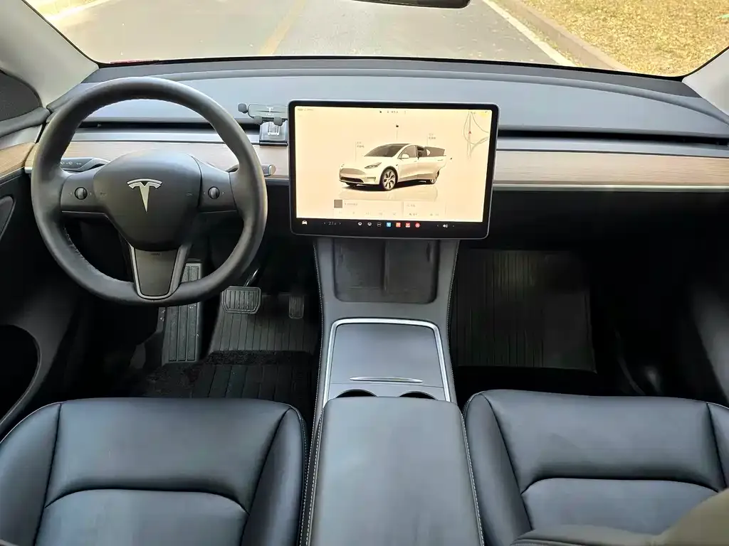 Tesla Model Y 2022 из CN, фото 8