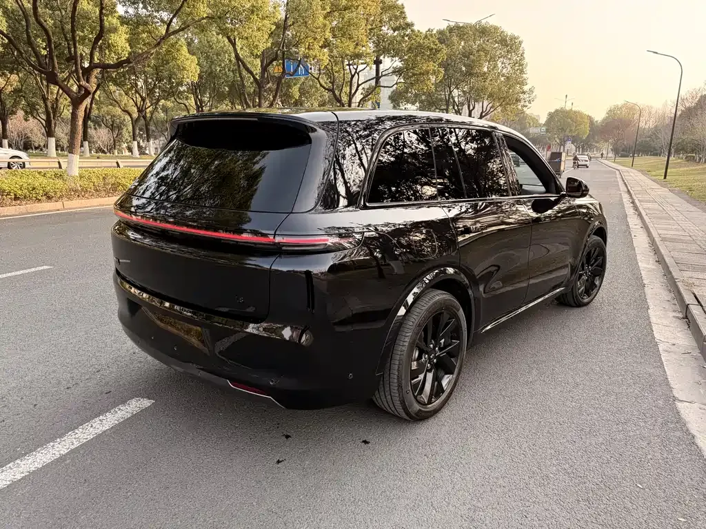 Li Auto Li L8 2024 из CN, фото 8
