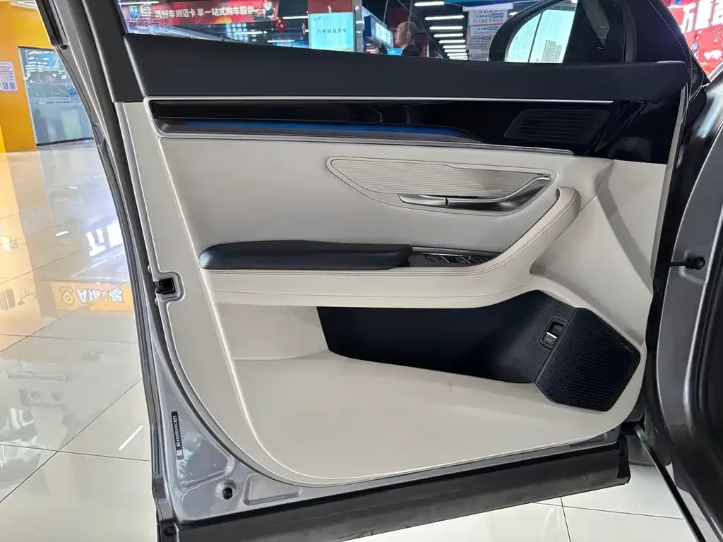 BYD PLUS New Energy — фото 4