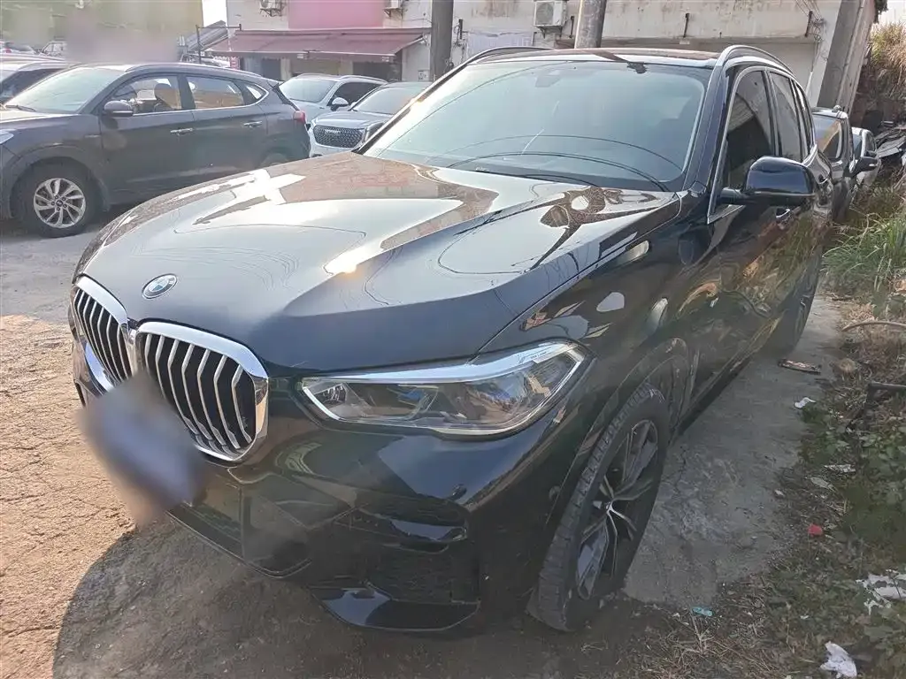 BMW X5 (Import) 2022 из CN, фото 2