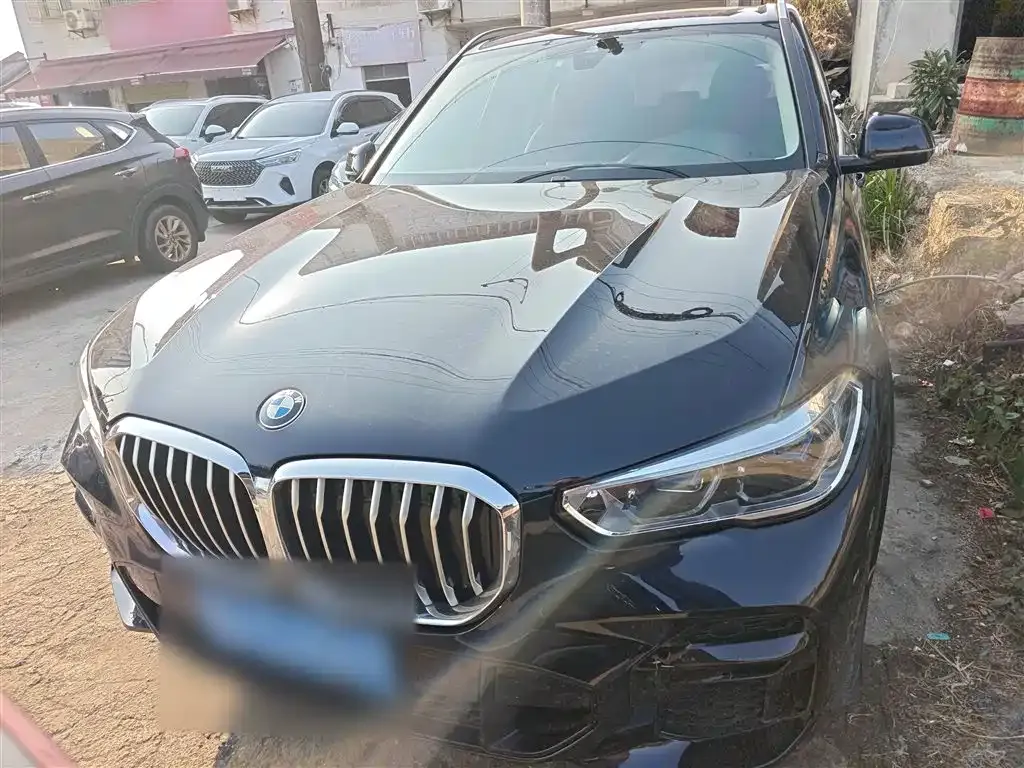 BMW X5 (Import) 2022 из CN, фото 3