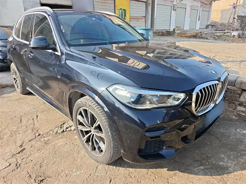 BMW X5 (Import) 2022 из CN, фото 4