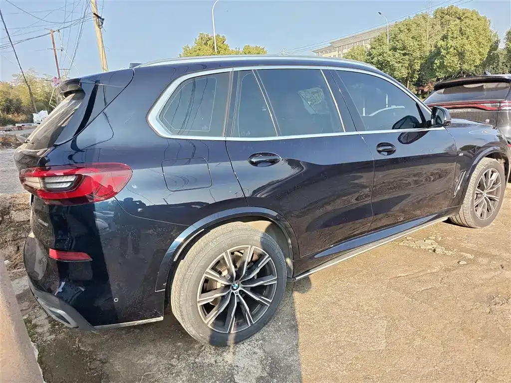 BMW X5 (Import) 2022 из CN, фото 9