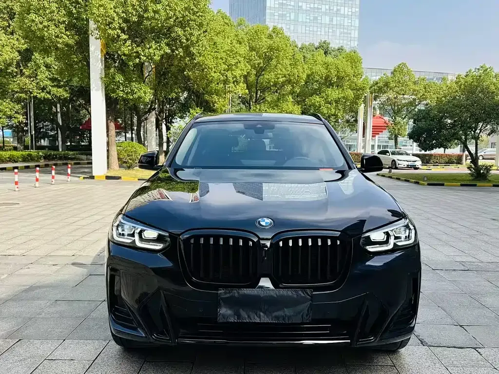 BMW X3 2022 из CN, фото 9