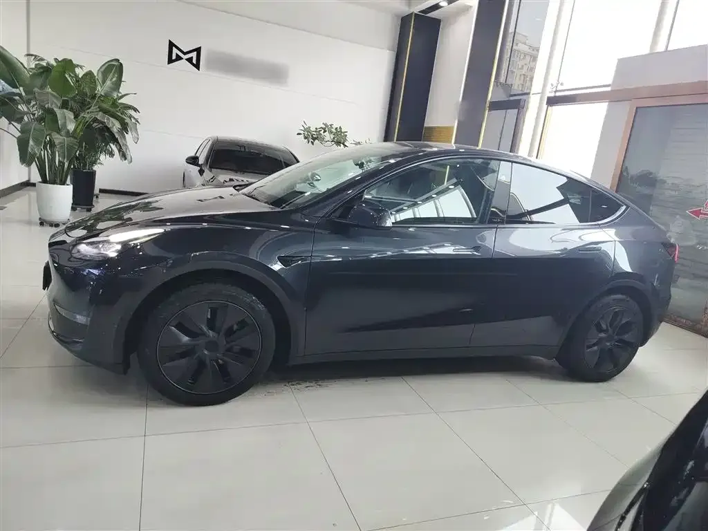 Tesla Model Y 2024 из CN, фото 8