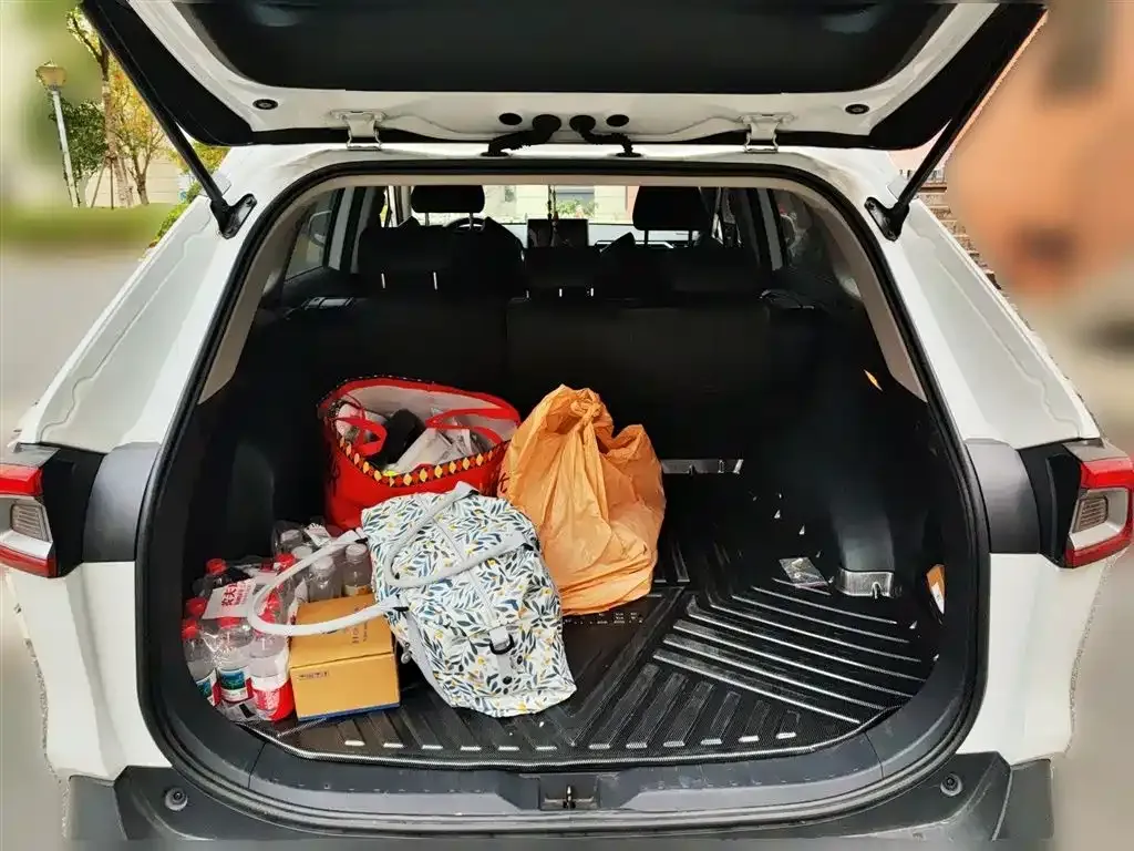 Toyota Wildlander 2022 из CN, фото 10