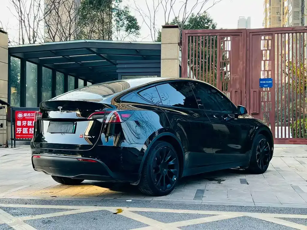 Tesla Model Y 2023 из CN, фото 6